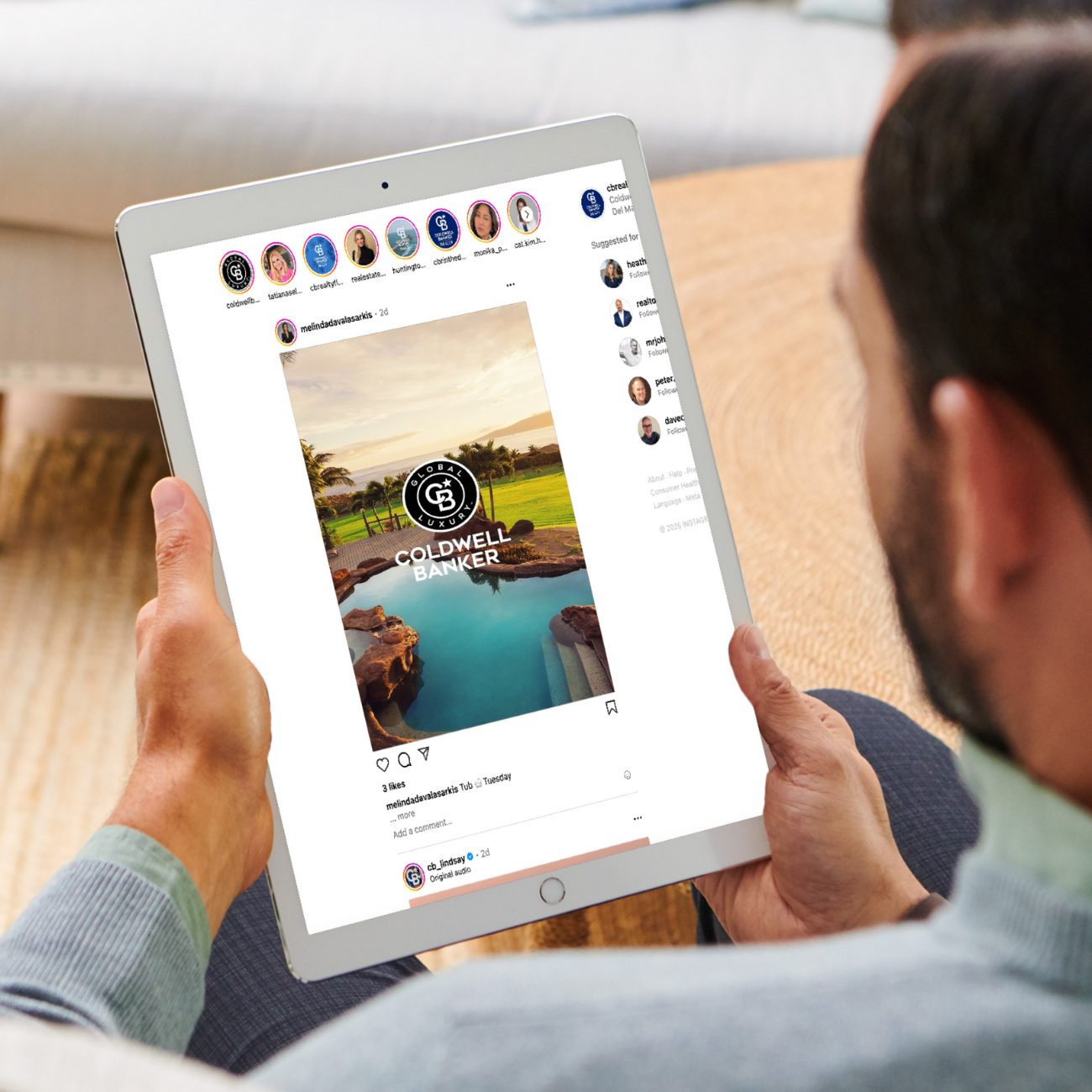 Hana Pie Chart (1) copy