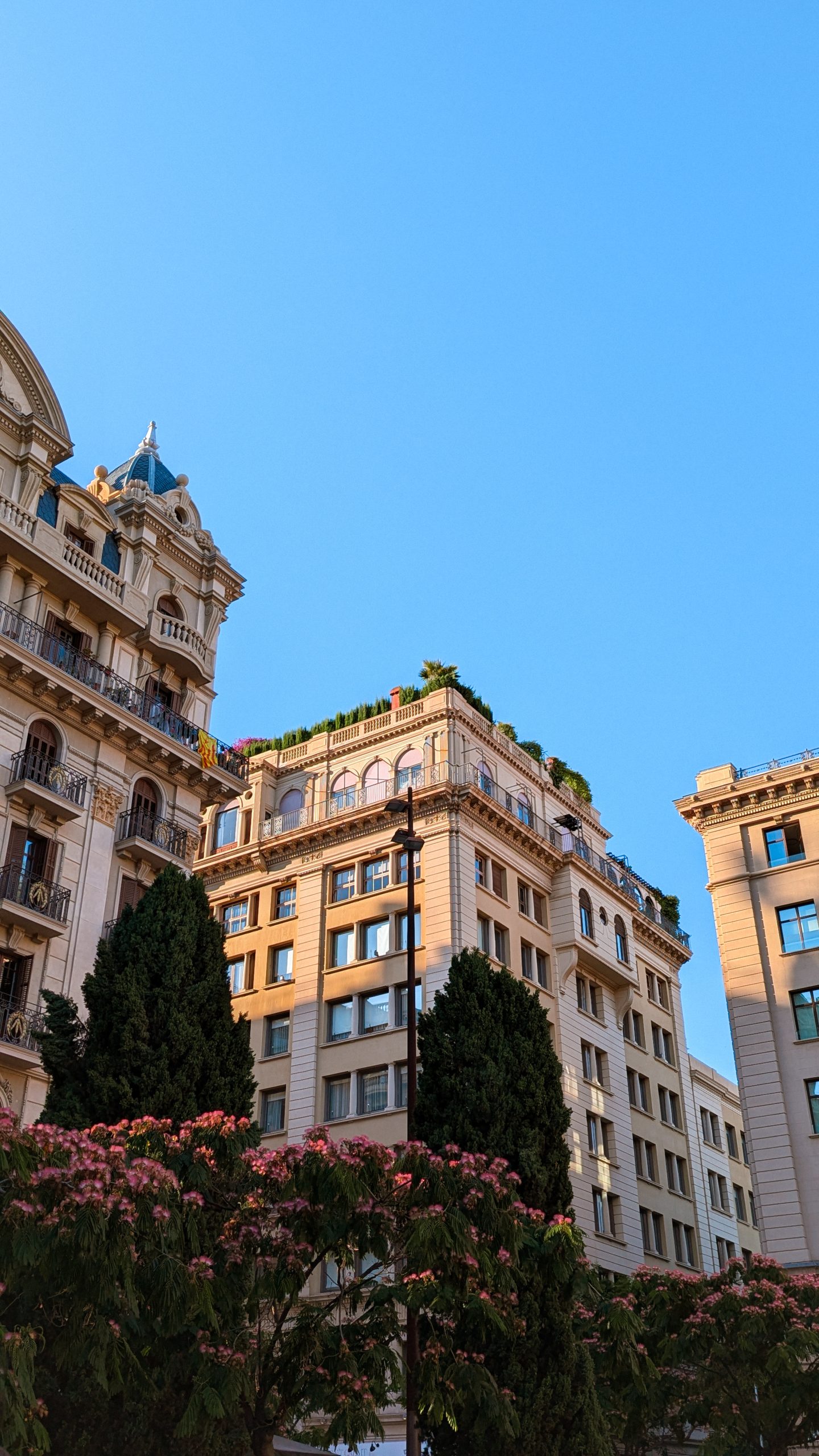 nicole-peterson-dupe