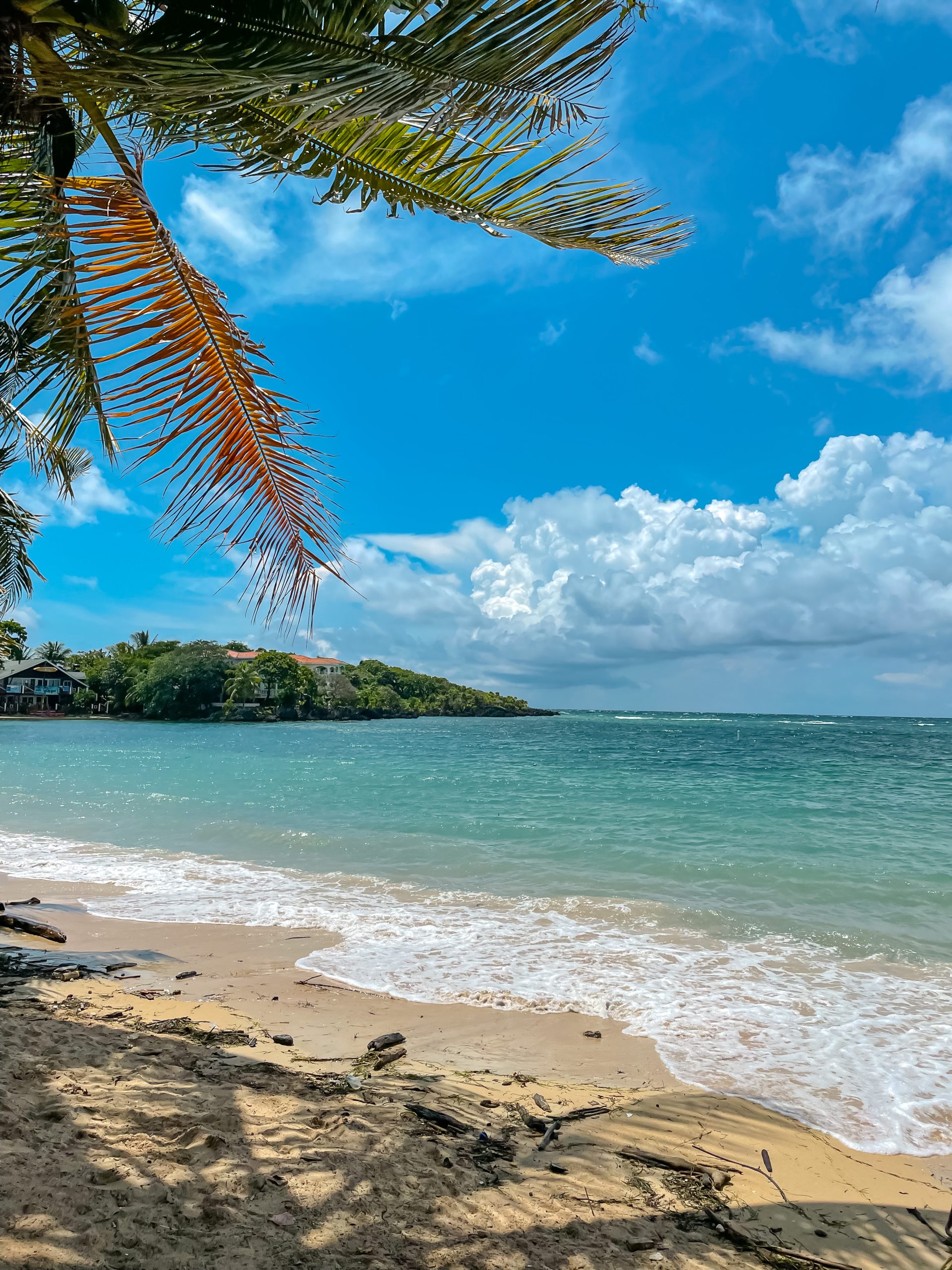 seen- and loved-dupe