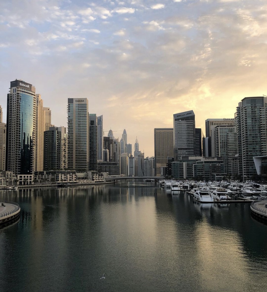 yuliia-romashko-dupe